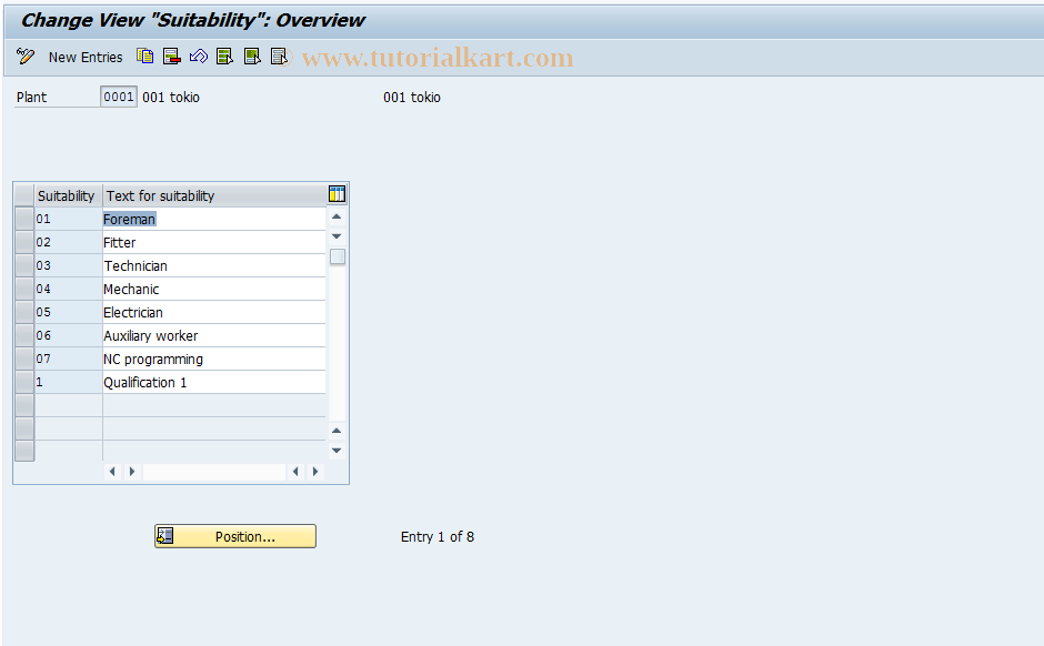 SAP TCode OIZ8 - Qualification Type