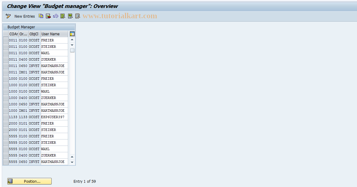 SAP TCode OK14 - Maintain Budget Manager