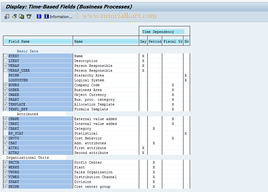 SAP TCode OKEY - Display Time-Dependent Field/Process