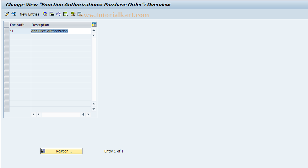 SAP TCode OMET - Settings for Function Authorizations