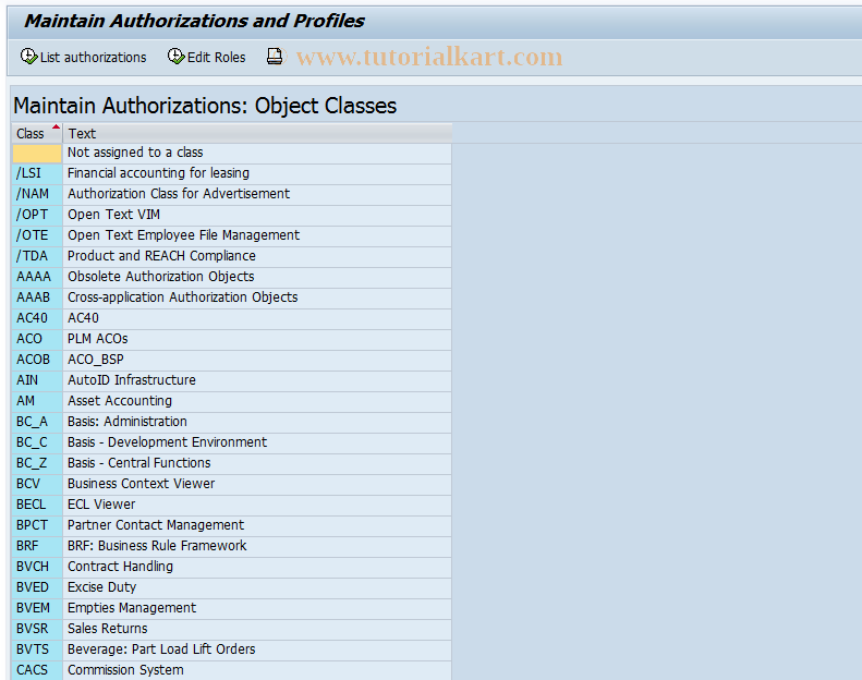 SAP TCode OMG7 - C MM-PUR Authorizations