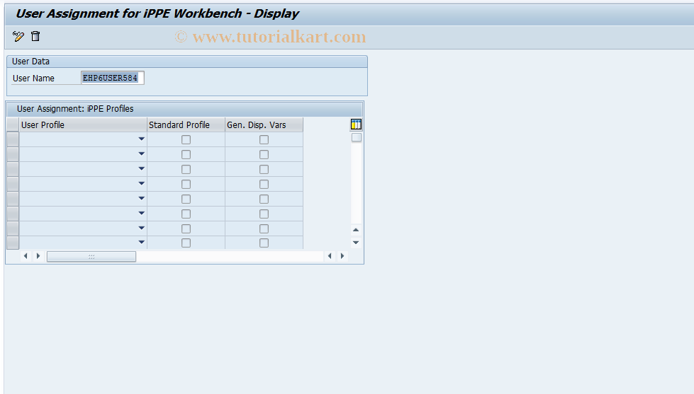 SAP TCode OPPE13 - User Assgmt: iPPE WB Professional