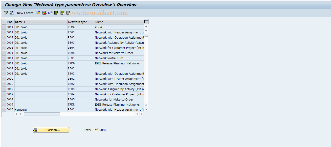 OPUV SAP Tcode Network Type Parameters Transaction Code