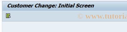 SAP TCode OT40 - C FI Change Customer