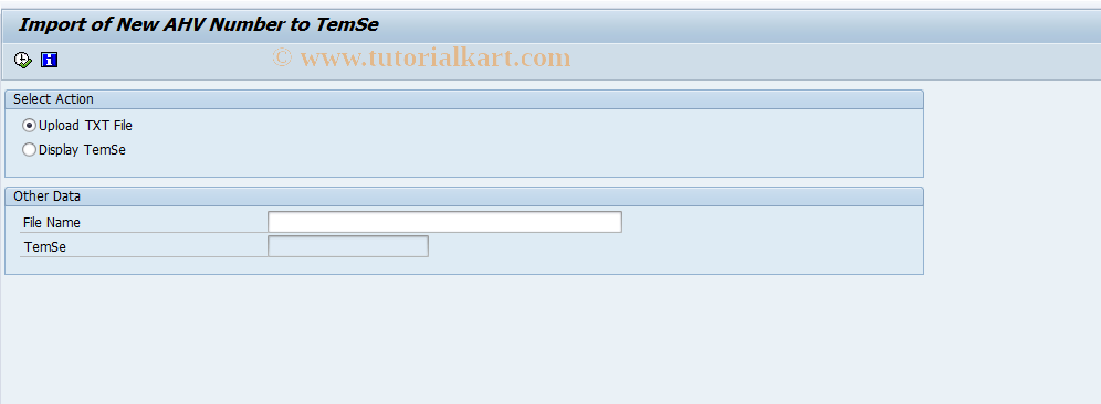 SAP TCode PC00_M02_UAHV0 - Import/Display Report New AHV Number 