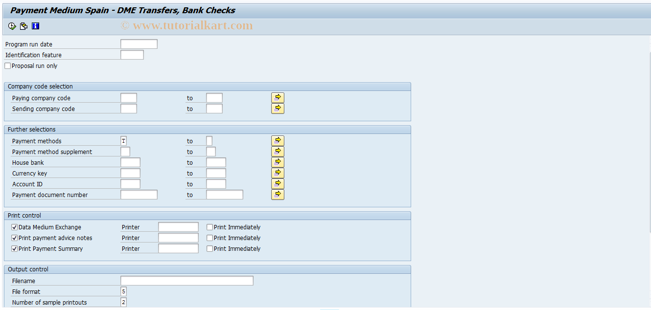 SAP TCode PC00_M04_FFOT - Prepare DME trasfers