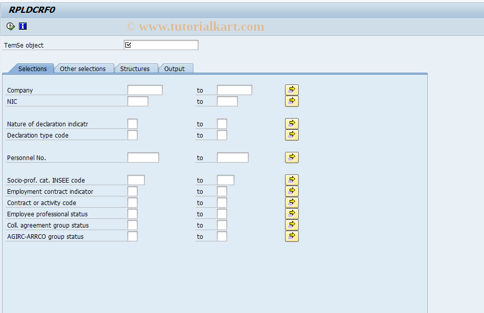 SAP TCode PC00_M06_RPLDRCF0 - DADS-U file control