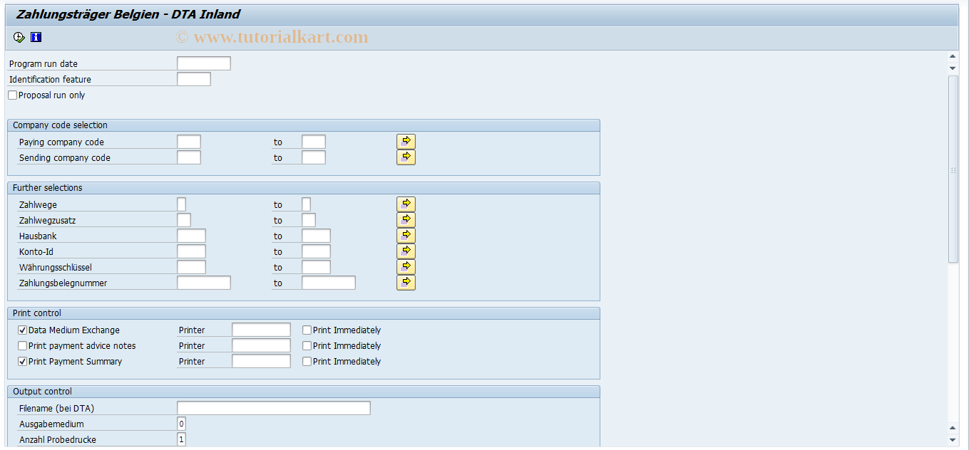 SAP TCode PC00_M12_FFOT - Payment medium - Domestic DME