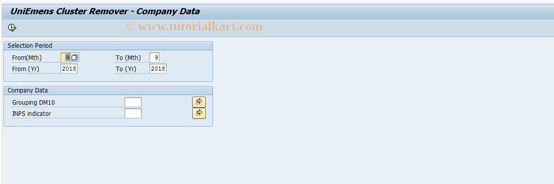 SAP TCode PC00_M15_UECLDELAZIE - Transaction for report RPCLSTI1