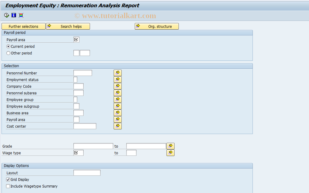 SAP TCode PC00_M16_RPLERAW0 - Empl. Equity: Income Differentials