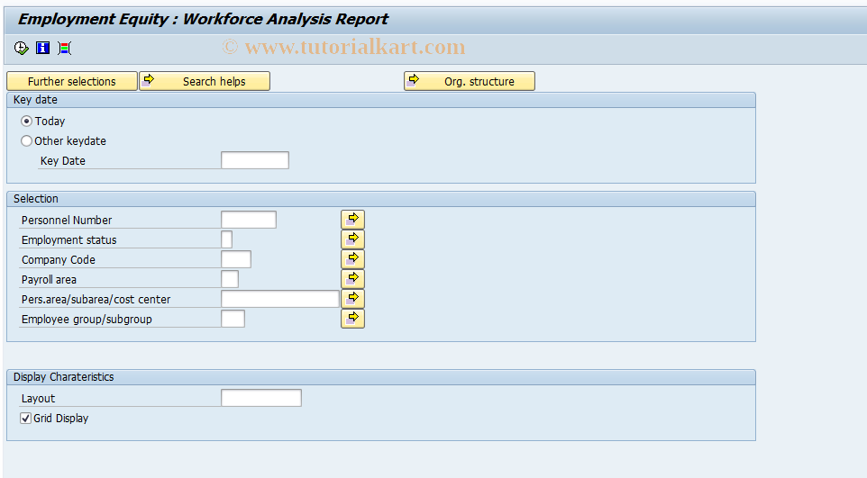 SAP TCode PC00_M16_RPLEWAW0 - Empl. Equity: Workforce Analysis