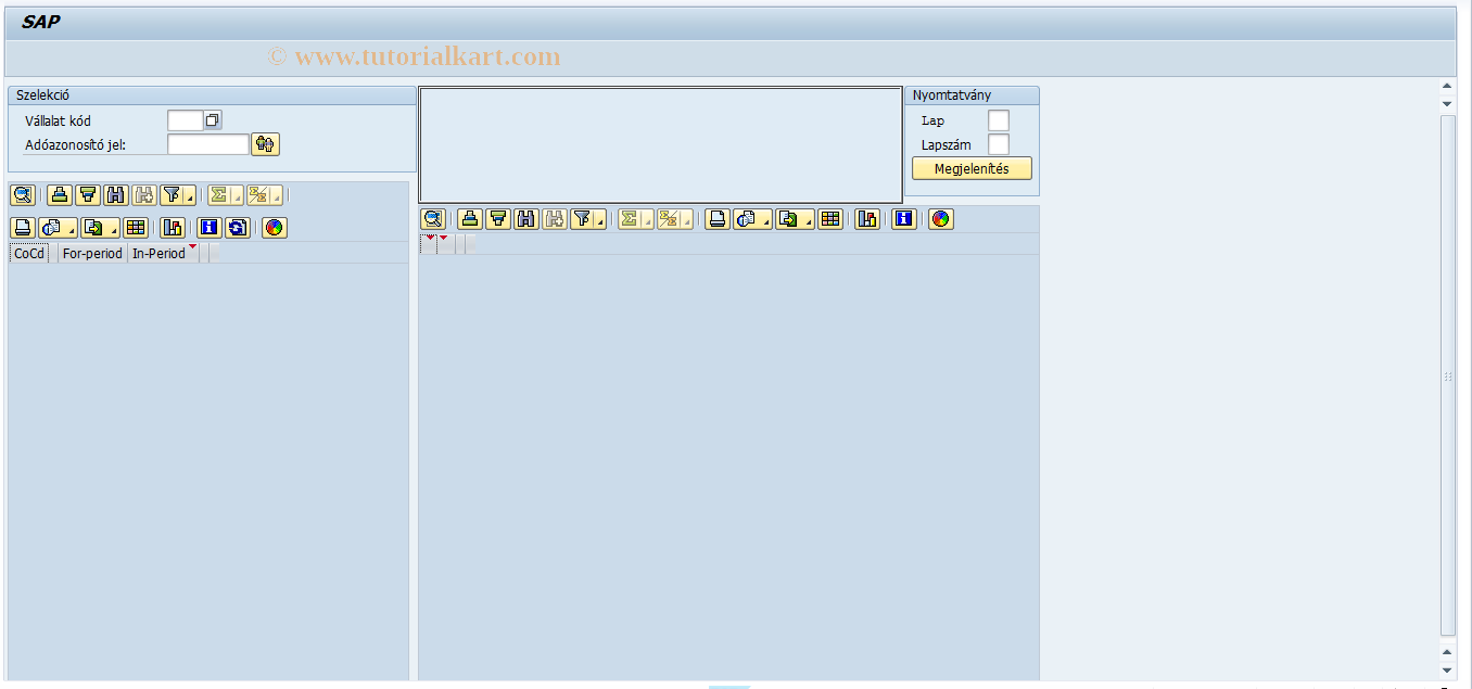 SAP TCode PC00_M21_RPLVAAH0 - Monthly return V2, displ. individual data