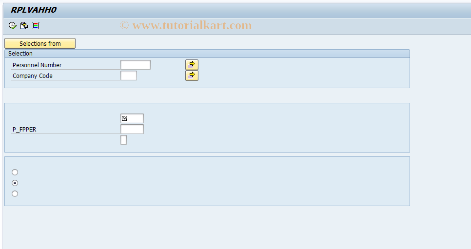 SAP TCode PC00_M21_RPLVAHH0 - Monthly return V2, selection for adjustm.