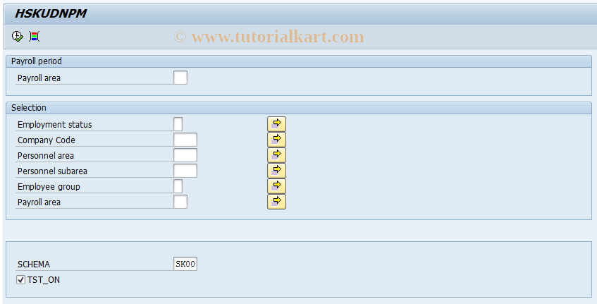 SAP TCode PC00_M31_DNPM - Auxiliary Calculation of DNP