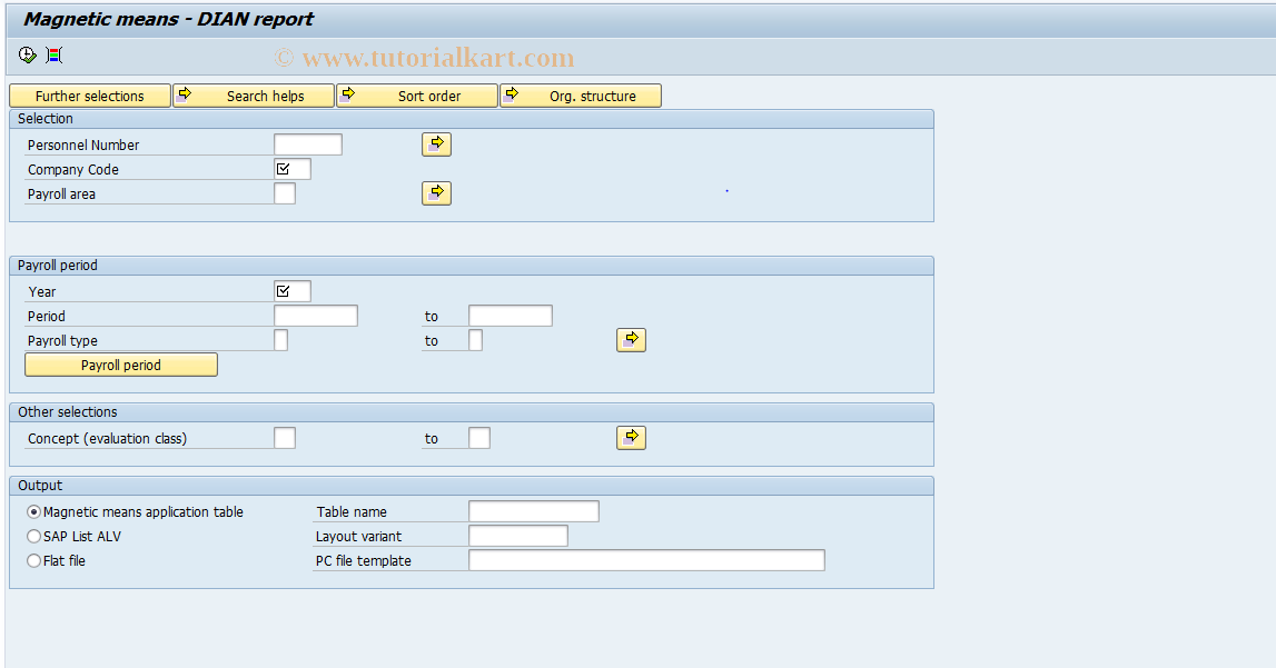 SAP TCode PC00_M38_DIAN - DIAN magnetic means