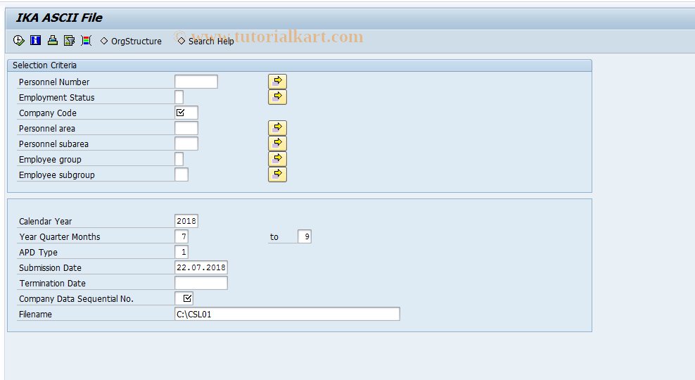SAP TCode PC00_M45_APD4 - IKA ASCII File