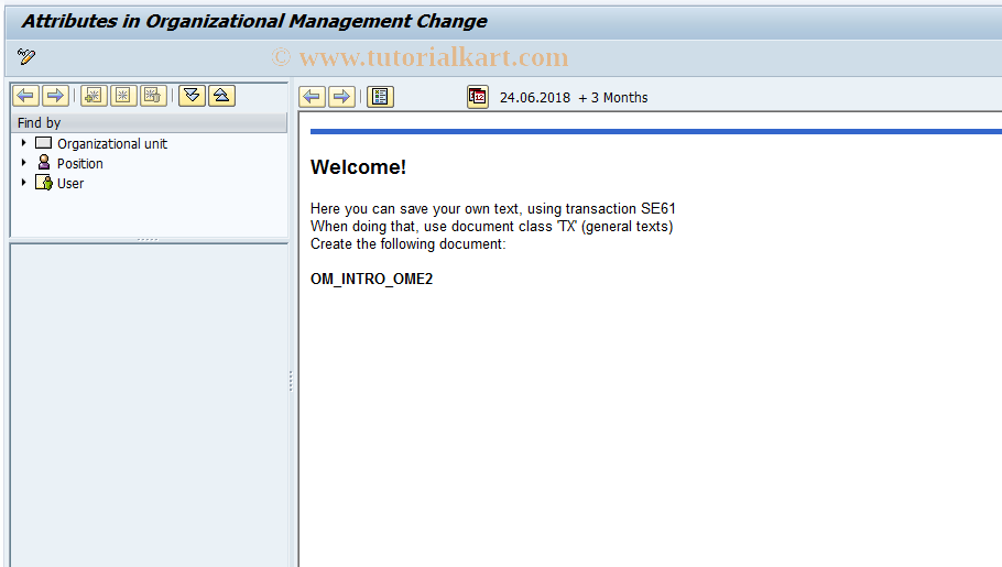 SAP TCode PPOMA - Change Attributes