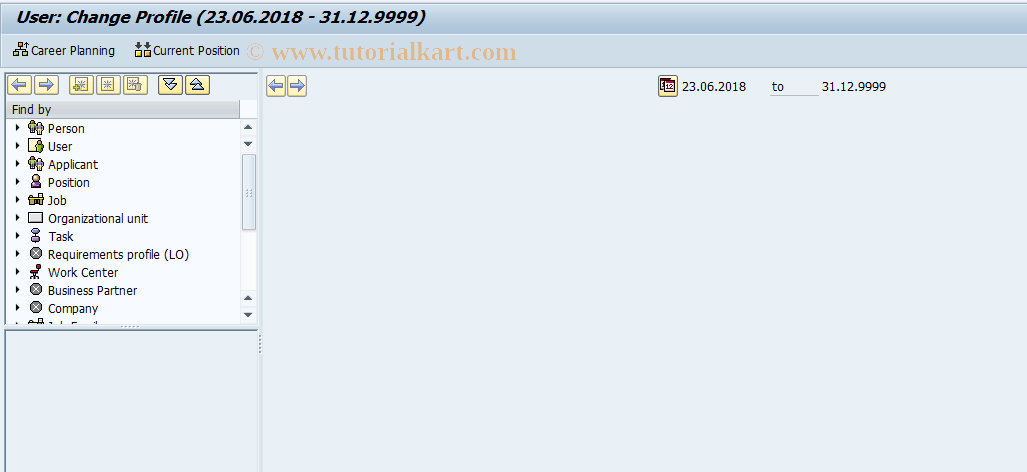 SAP TCode PPPM - Change Profile