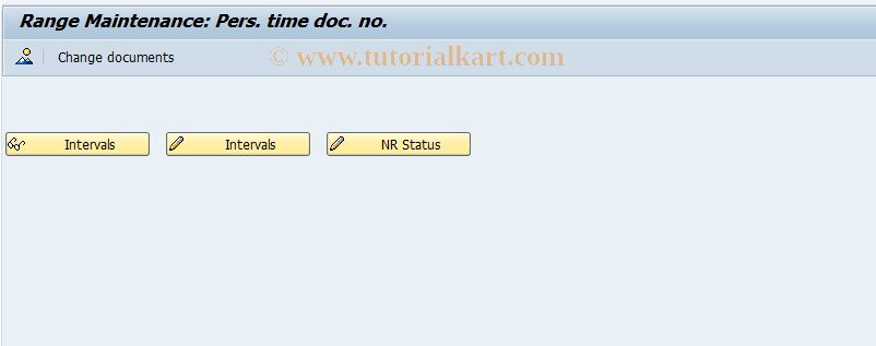 SAP TCode PT10 - Number Range Maintenance: PTM_DOCNR