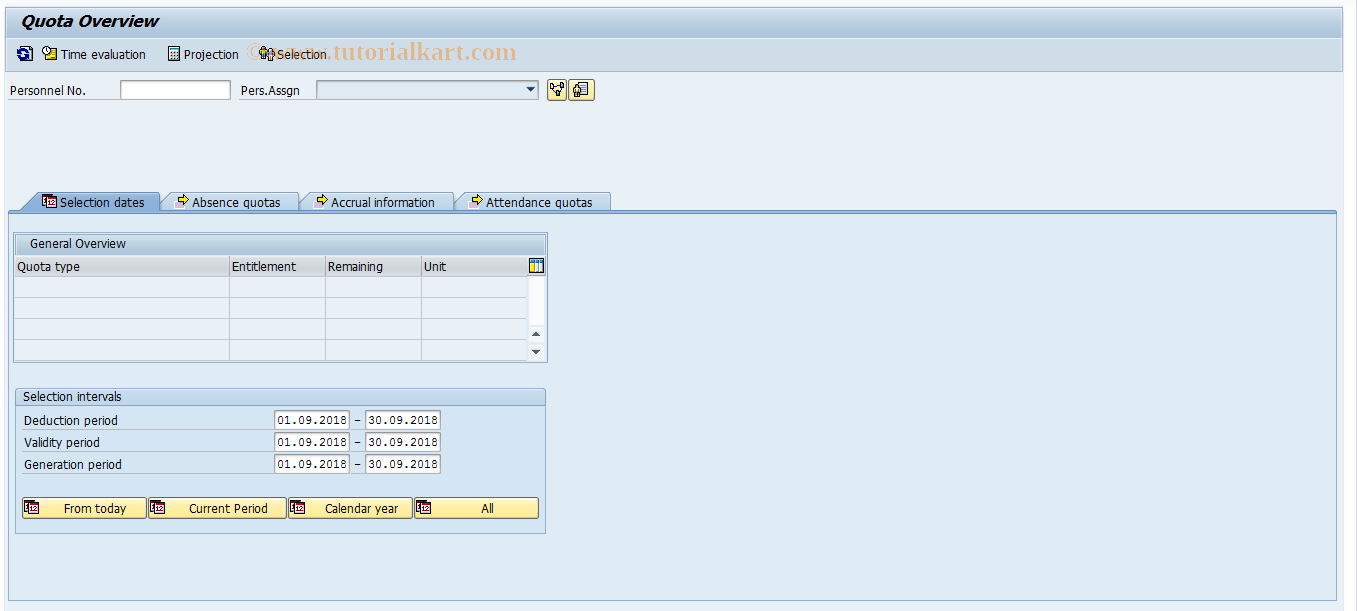 SAP TCode PT50 - Quota Overview