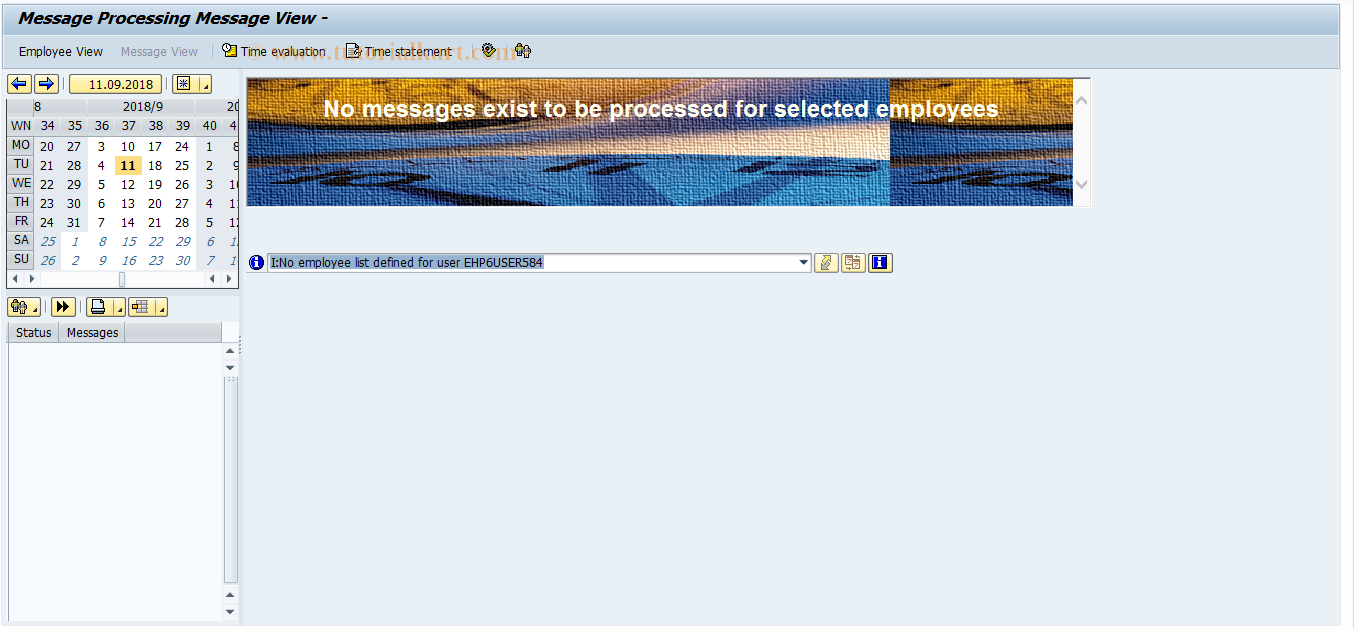 SAP TCode PTMW_WORKLIST - Process Messages