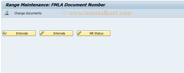 SAP TCode PT_FMLA_DOC_NUM - Number Range Maintenance: PT_FMLDOCN