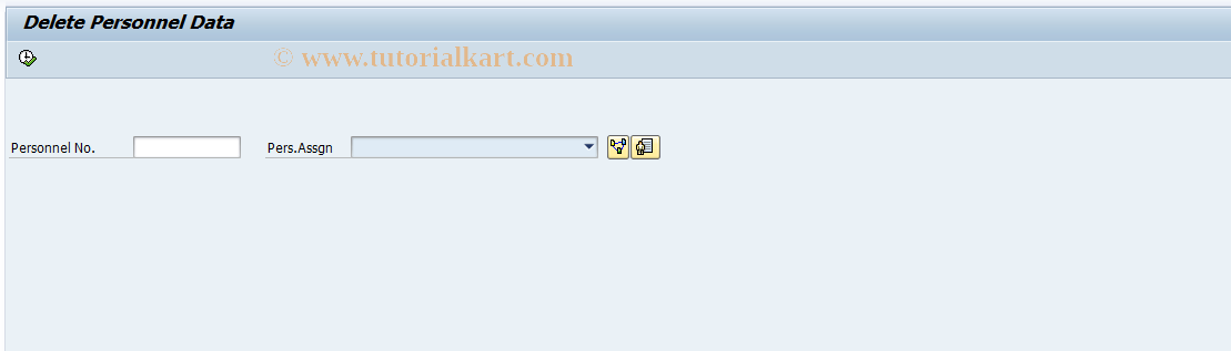 SAP TCode PU00 - Delete Personnel Data