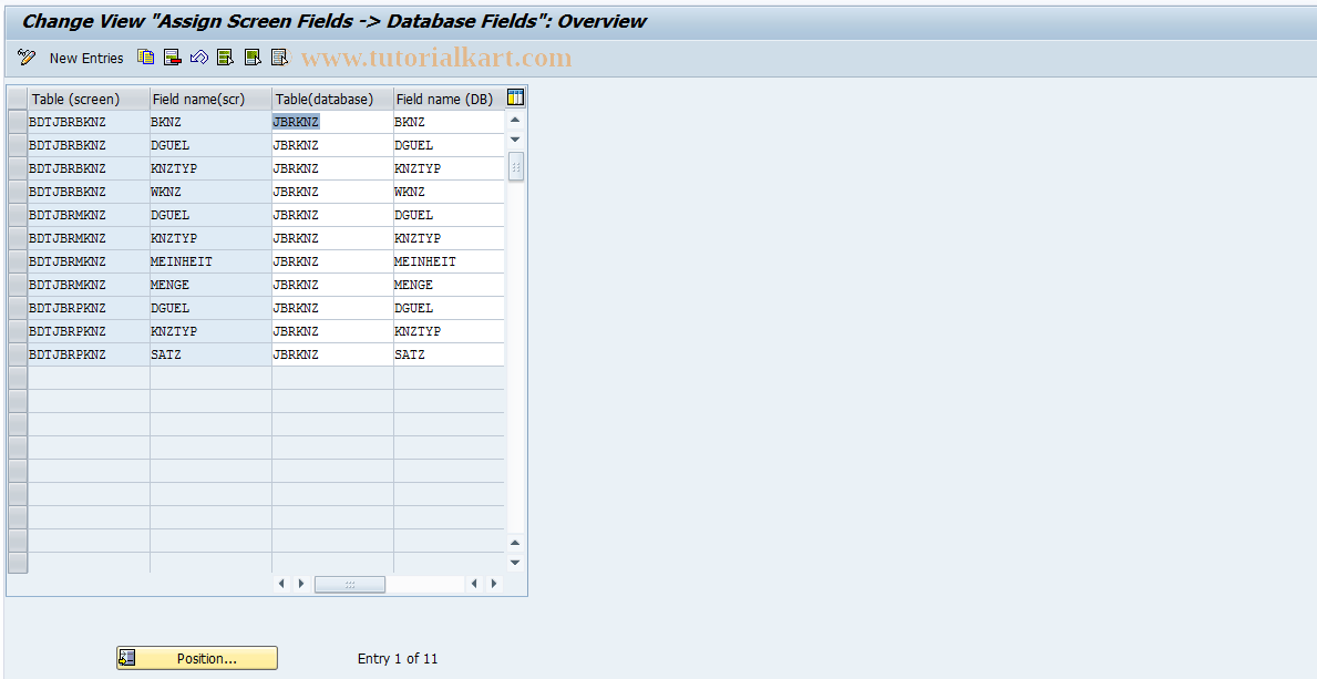 SAP TCode RCC11 - RO Control: Assign DB Screen