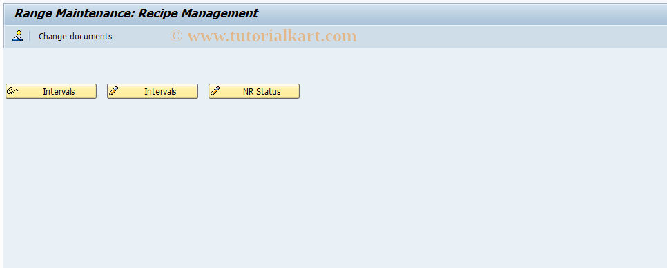 SAP TCode RCP_NR - Maintain Number Ranges for Vers.