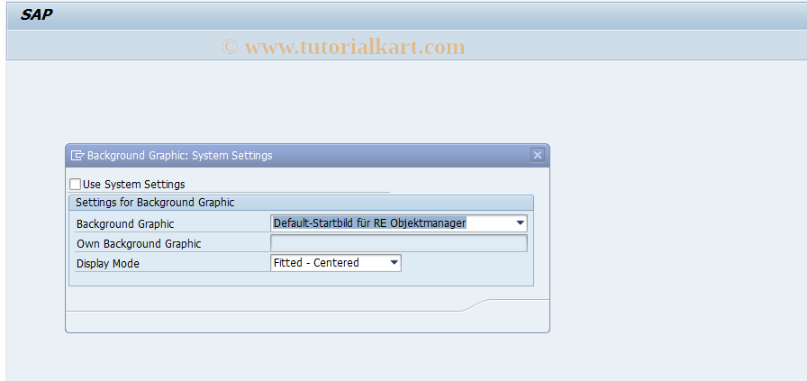 SAP TCode RECAPICCUST - System Settings: Background Graphic