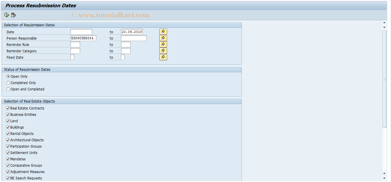 SAP TCode RECARS - Process Dates for All Objects