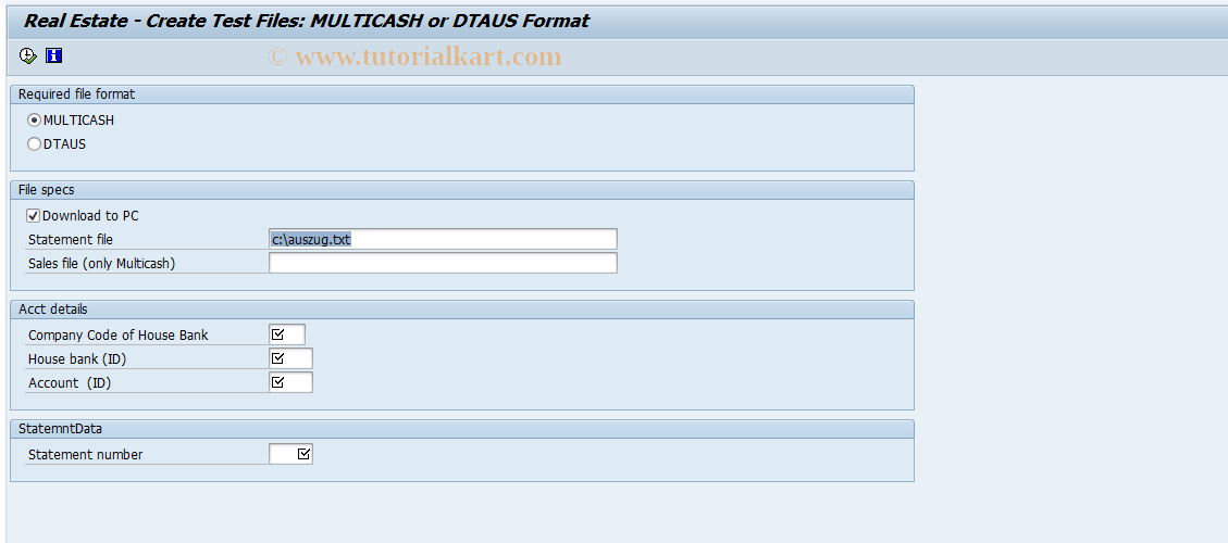 SAP TCode REEXACCSTGNTXT - Electr. Account  Statement: Gen. File