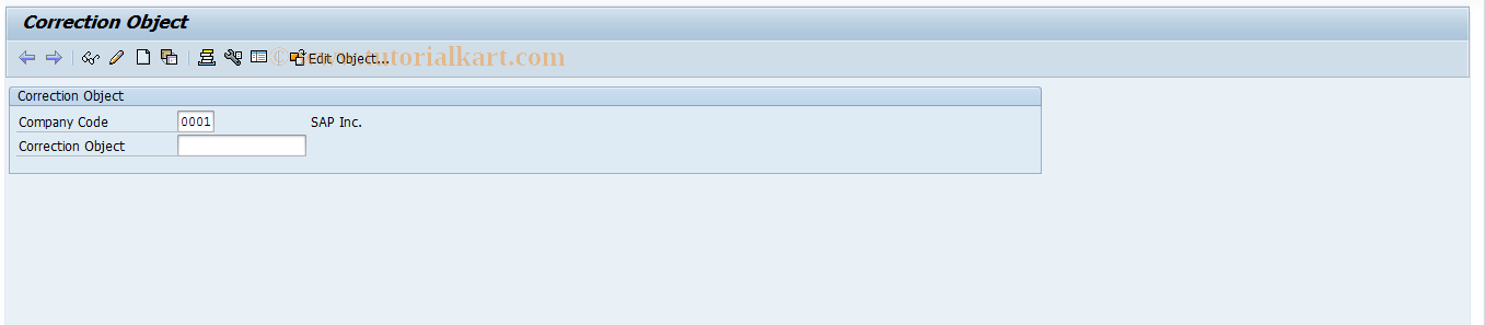 SAP TCode REITTC - Edit Correction Object