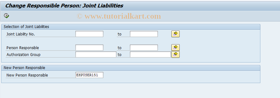 SAP TCode RELMJLRP - Change Pers.Resp: Joint Liabilities