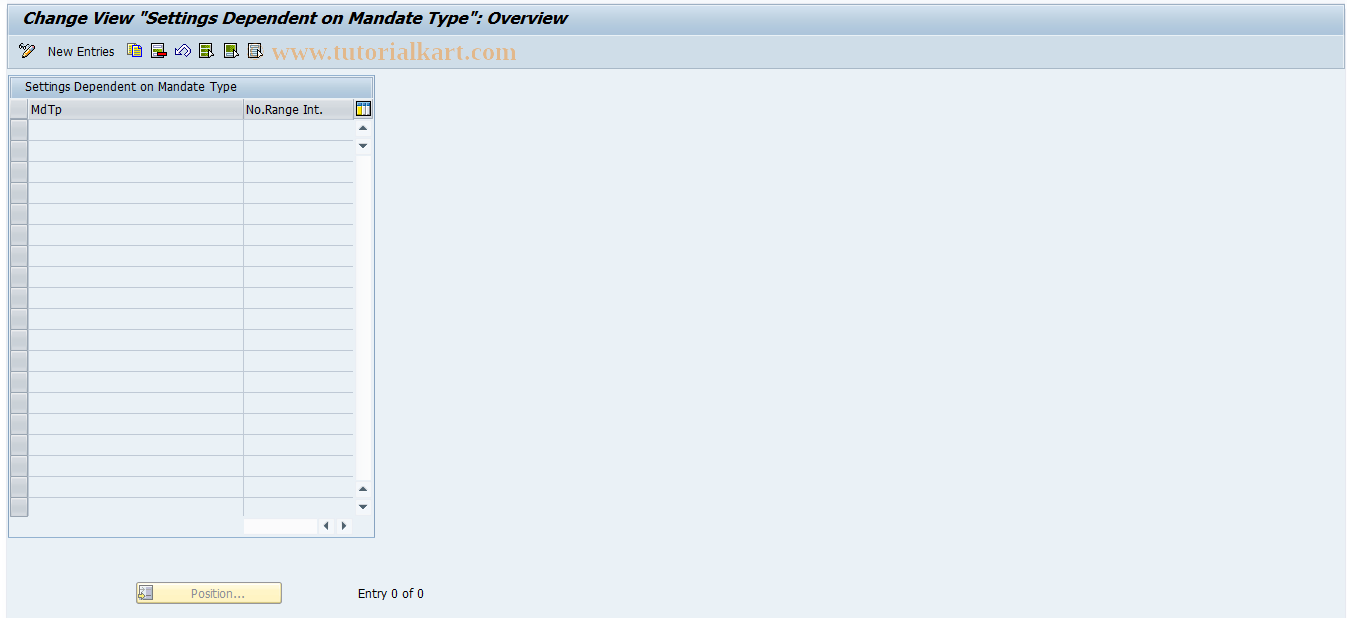 SAP TCode REMMMNSET - Settings Dependent on Mandate Type