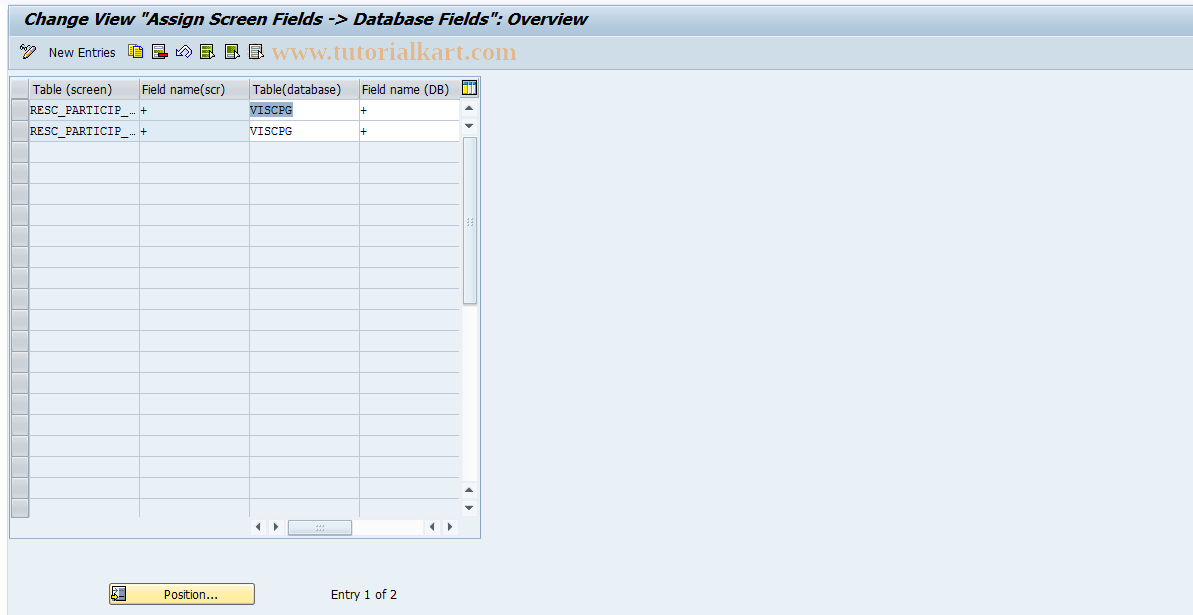 SAP TCode RESCPG0011 - PG: Assignment Screen Field->DB-Field