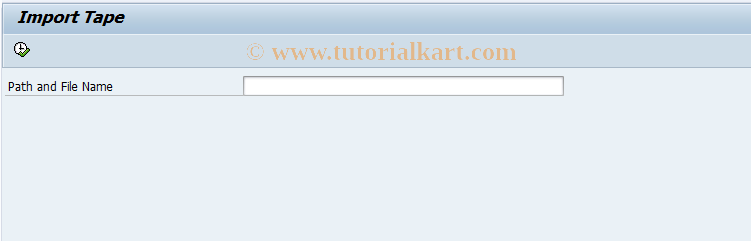 SAP TCode REXCSCCHIT - Import Tape