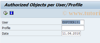 SAP TCode RE_RHAUTH00 - Authorized Objects