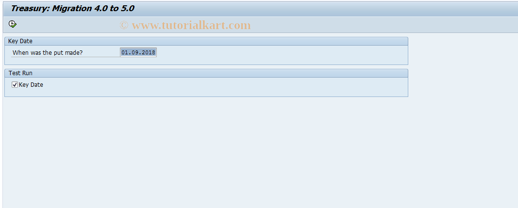 SAP TCode RFPM_MIGR - Migration 4.0 to 5.0