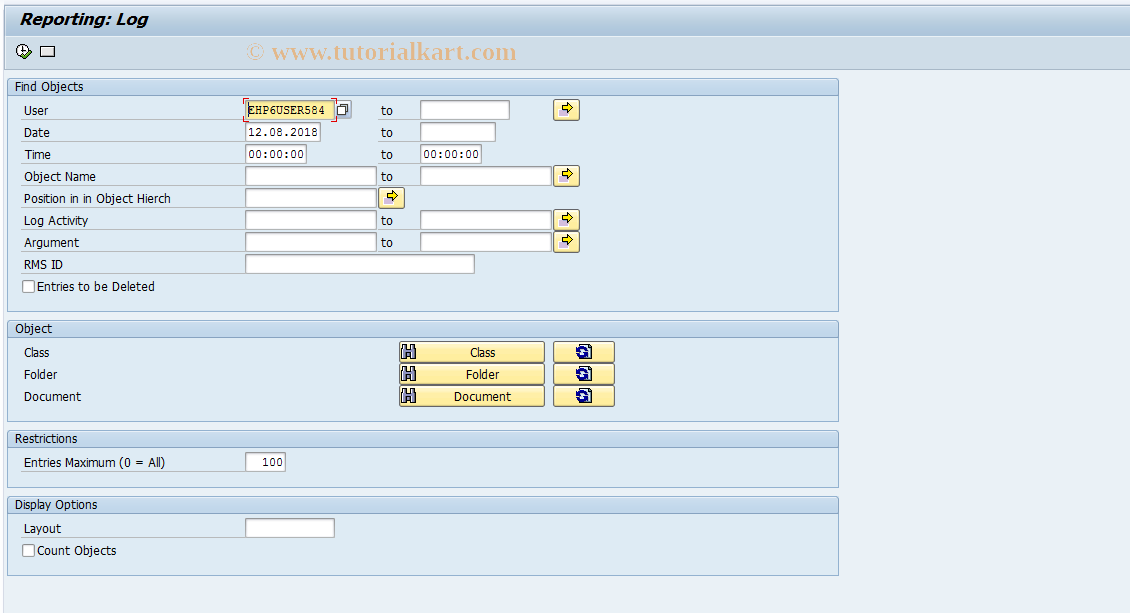 SAP TCode RMPS_AUDIT - Log