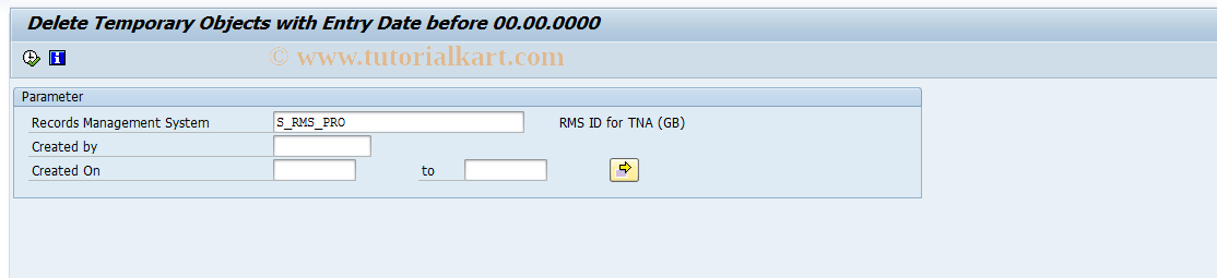 SAP TCode RMPS_PUTAWAY_DELETE - Delete Temporary Objects