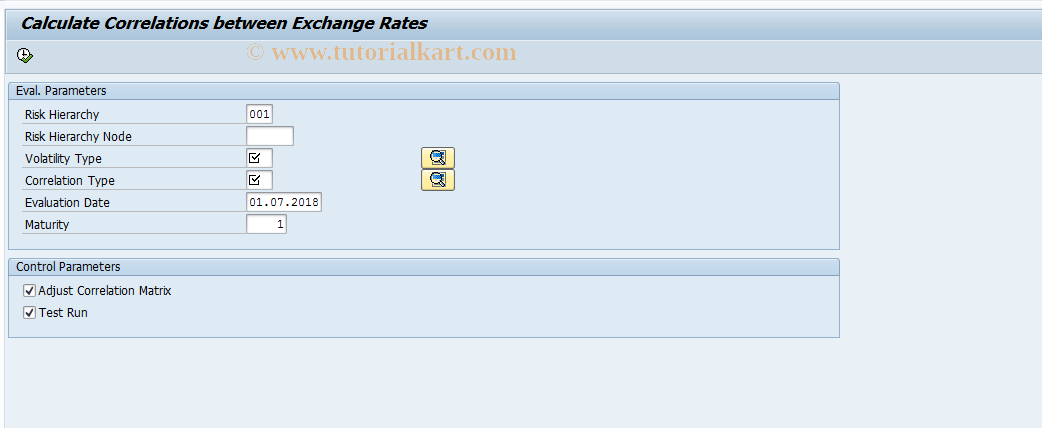 SAP TCode RMVC - Correlations between Exchange Rates