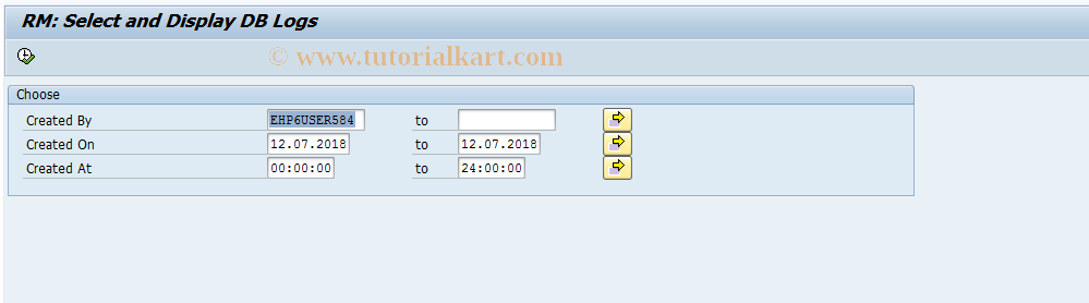 SAP TCode RM_97 - Display of DB Logs