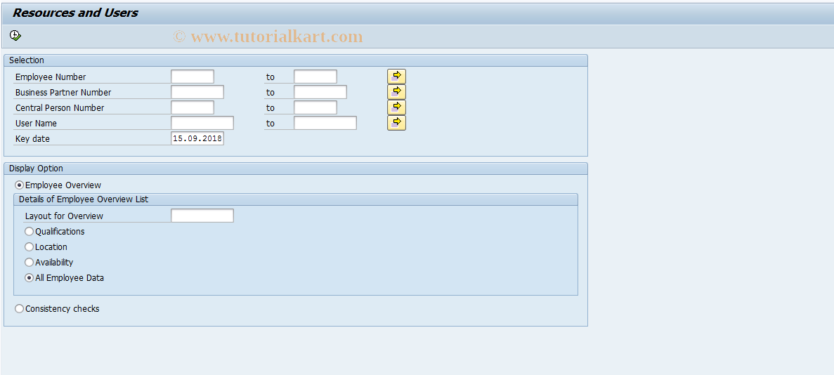 SAP TCode RPM_EMPDATA - Resource and Users of Portfolio Mgmt