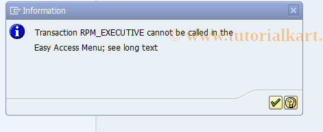 SAP TCode RPM_EXECUTIVE - Authorization for Executive