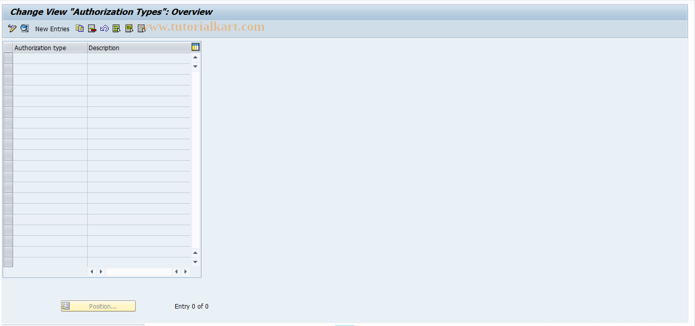 SAP TCode RTPB18 - RPUS Authorization types