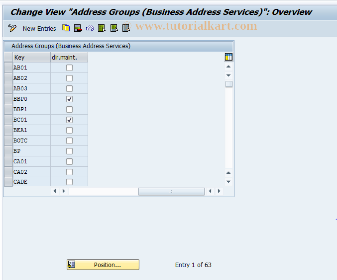 SAP TCode SA07 - Address Groups (Business  Addr. Services)