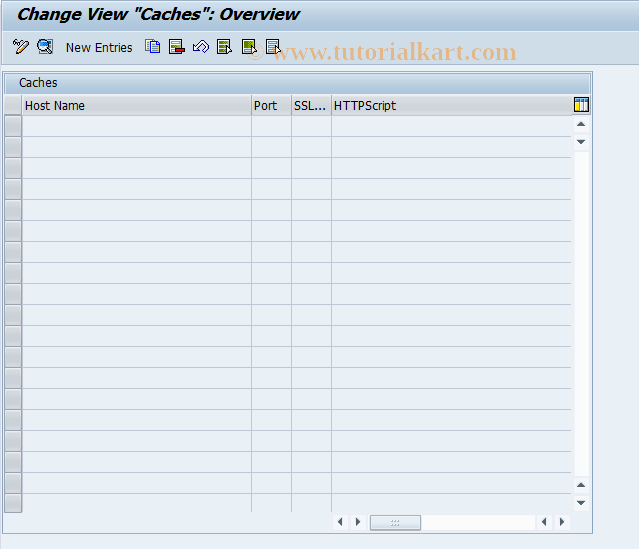 SAP TCode SCMSCA - Caches