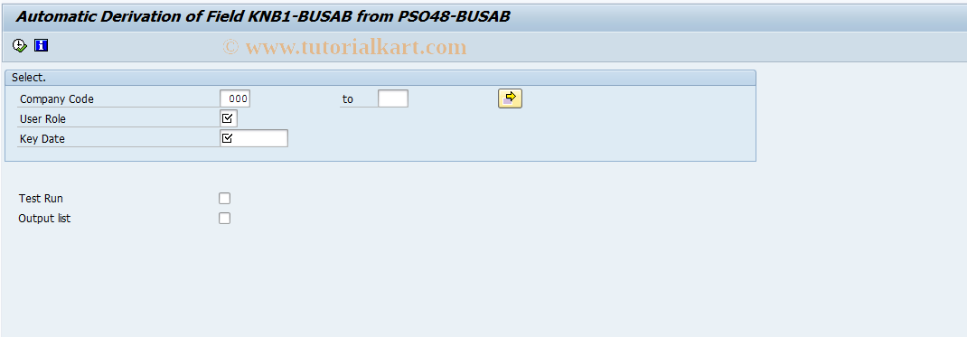 SAP TCode SETB - Direct Input for BUSAB