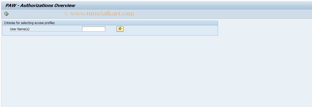 SAP TCode SL99 - PAW - Display authorization profiles